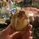 파파야 펜션 | 대전 근교 천안 광덕산 단체 숙소 추천 감성 펜션 다정한 인생 레몬 그라스,그린 파파야 객실 후기