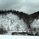내리다곰 | 산케베츠 히구마(큰곰) 사건 @ 홋카이도 토마마에 마을