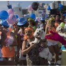 열린24시동물병원 이미지