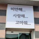 러브펫 반려동물장례식장 | 반려동물 장례후 우울증 강아지 고양이 펫로스 증후군 극복하기