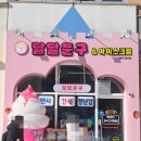 루시241 이미지