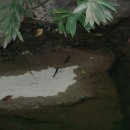 경상남도산림환경연구원 이미지