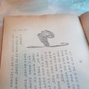 카페 유자 이미지