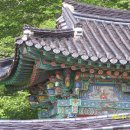 대자연횟집 이미지