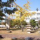 경주고등학교 이미지