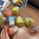 뽑기클럽 | 강아지 털 보관 타임캡슐 가챠 뽑기(멸망편)