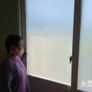 김정남농장 이미지