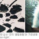 심수