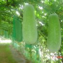 샘밭 농장 이미지