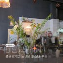 미뇽(mignon) | 동탄 맛집 미뇽 mignon 방문 후기 겸 동탄 방문기