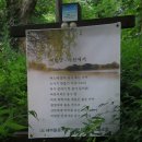 남구-007 이미지