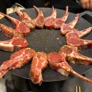 루젠주 | [레이 캠핑 이야기 3차] 다이소 차박용품 데이지 체인 + 레이 루젠 햇빛 가림막(차박가림막) 후기