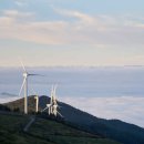 소나무 흑염소 목장 이미지