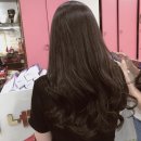 언니네미용실 이미지