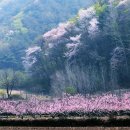 연정2리 이미지