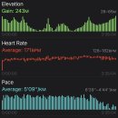 신현원창동 행정복지센터 앞 펜스 | [대회후기] 2025.04 경기마라톤 풀코스 - 3:35:02