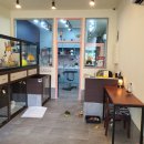 영심이살롱곰곰이호텔 이미지