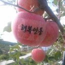 병규농장 이미지