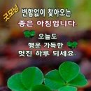 멋진 하루 이미지