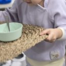 능삼이네 이미지