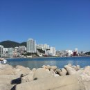 그해 바다 이미지