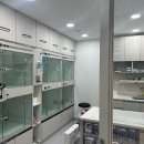 동물병원 여기로 이미지