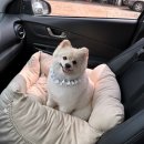마농사진관 이미지
