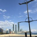 웨스틴 조선 부산 하객 후기｜여유로운 스몰웨딩의 정석 &amp; 뷔페·자리배치 솔직 리뷰