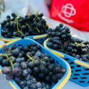 운성농장 이미지