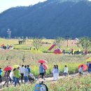 파천면사무소 이미지