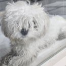 구미중앙로 이미지