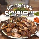 황금왕족발 | 일산 주엽역 족발 : 10년된 로컬 맛집 당일왕족발 솔직후기