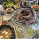 불타는돈갈매기 이미지