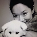 펫토그래퍼 이미지