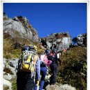 지게골로 이미지