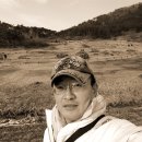 고인돌공원관리사무소 이미지