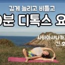 디톡스요가
