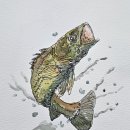바늘스케치