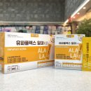 호두온누리약국 이미지