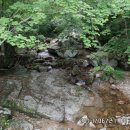 대암산 용늪 산행 1 (강원도 - 인제 양구접경 ) 2017년 06월 27일 (화) 이미지