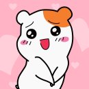 포와이비 네이버블로그