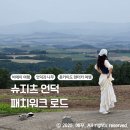 여주-0224 | 비에이의 풍경 - 슈지츠 언덕, 켄과메리 나무, 세븐스타 나무, 패치워크 로드