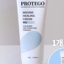 프로테고 이미지