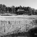 청산별곡 이미지