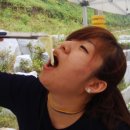 피끝마을 이미지