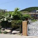 동선새바지 이미지