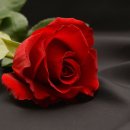 색채심리 이미지