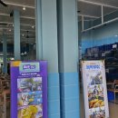 한국카25시 이미지