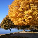 머리하는 날 이미지