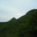 알프스파크 이미지